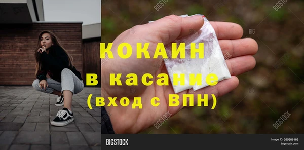 apvp Вяземский